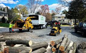 Professional  Tree Services in White Hall, IL